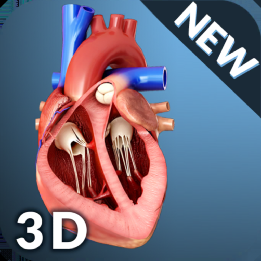 Get My Heart Anatomy for iOS, iPhone, iPad Aso Report
