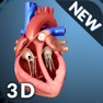 Get My Heart Anatomy for iOS, iPhone, iPad Aso Report