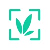 Wow Plant Identifier - AI Care