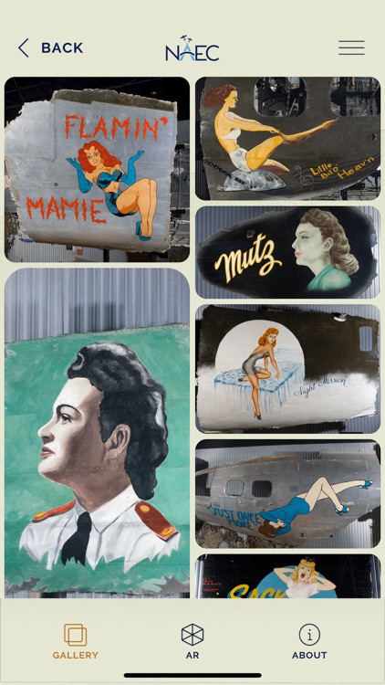 NAEC Nose Art Experience