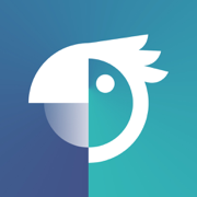 IGparrot - Story & Reel Maker