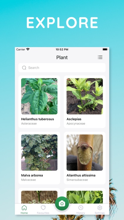 The Plant Identification App