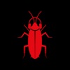 Cockroach FM - Audios & Videos