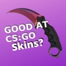 Get CS:GO Quiz for iOS, iPhone, iPad Aso Report