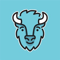 BISON - Bitcoin  Co kaufen