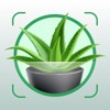 Plant Identifier Aрр Plant ID