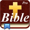 Icon Handy Bible Pro