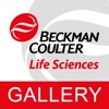 BECLS Gallery