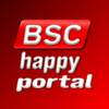 Happy BSC - Damir Karamustafic