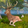 Get Deer Simulator: Animal Life for iOS, iPhone, iPad Aso Report