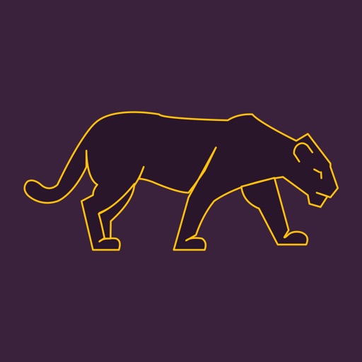 VPN Panther Download