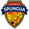 Spungua connects users with other sports enthusiasts in a given area
