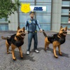 NY City K9 Police Dog Survival