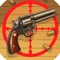 Gun Hit Shooting Master is an exciting game that challenges your shooting skills