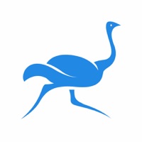  Ostrich VPN Light - Fast Proxy Alternative