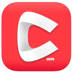 C_SUITE