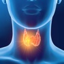 Get Endocrine System Trivia for iOS, iPhone, iPad Aso Report