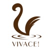 VIVACE ilsole