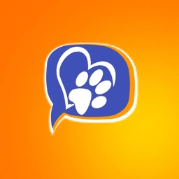 OurPet - o app animal