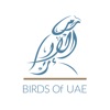 Birds Of UAE