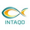 Intaqo