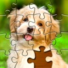 Jigsaw Puzzles: Photo Puzzles