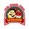 Coccinelle Pay