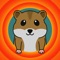 Help your very own pet hamster get to his food in Augmented Reality (AR)