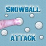 Get Snowball Attack for iOS, iPhone, iPad Aso Report