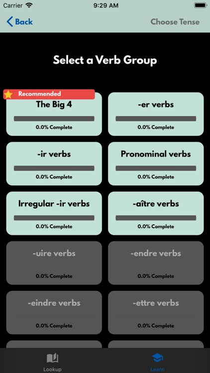 VerbSquirt French Verbs screenshot-6