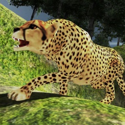 Wild Cheetah Attack:Chase Game