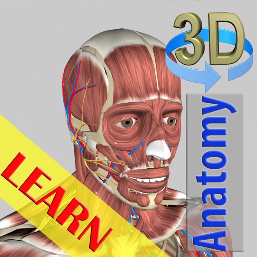 3D Anatomy Learning iOS App