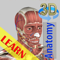 App Icon for 3D Anatomy Learning App in Pakistan App Store