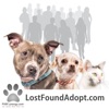 Lost~Found~Adopt