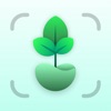 Plantics: AI Plant Identifier