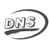 DNS查询