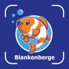 SeaScan Blankenberge