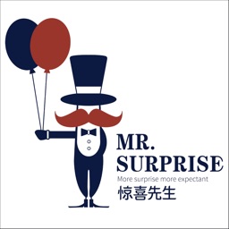 Mr Surprise