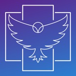 Pano Owl