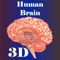 ‘Human brain’ app provides an in-depth tour into the very vital organ of the human body – the brain