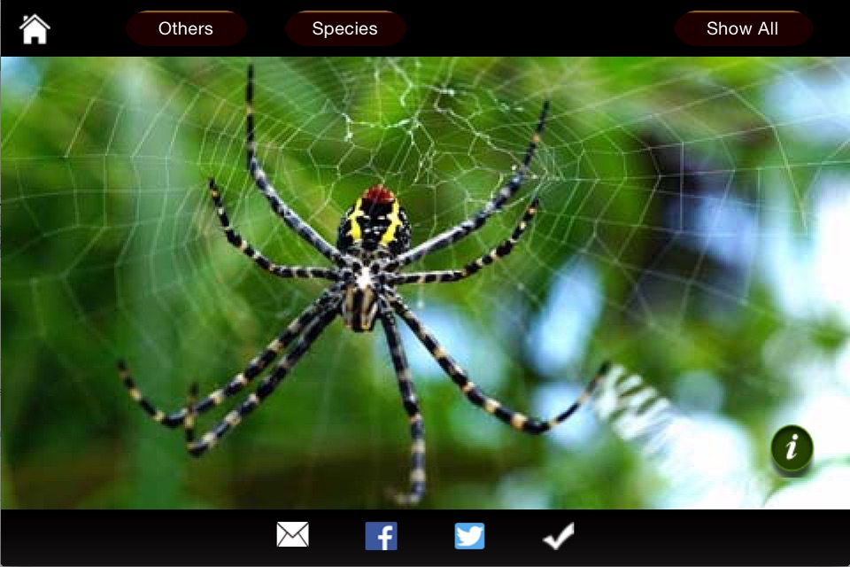 Spiders eGuide screenshot 3