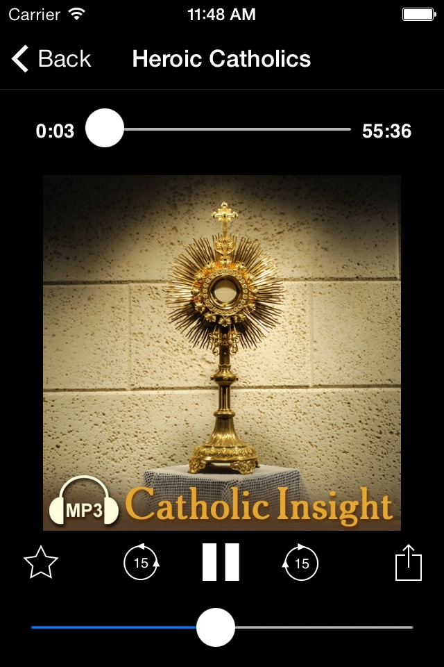 Audio Catholic Insight screenshot 3