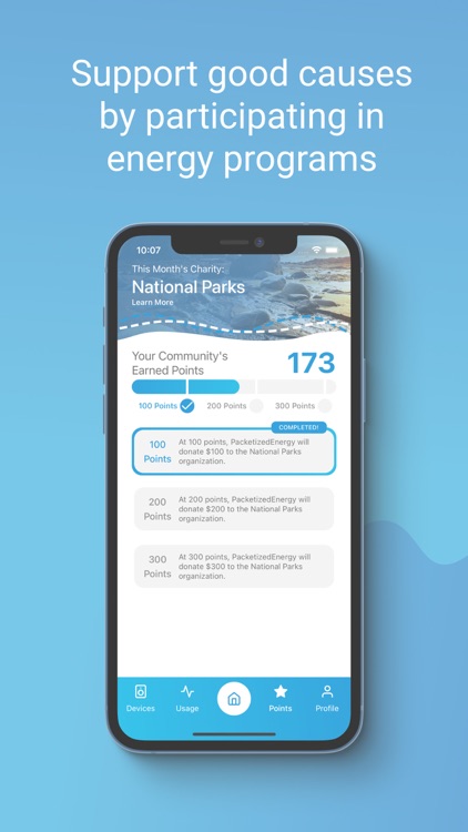 Nimble by Packetized Energy