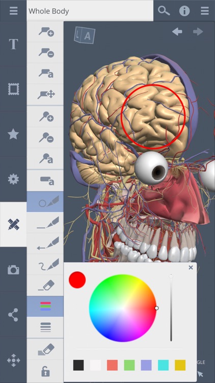 Primal's 3D Whole body screenshot-4