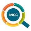 BNCC Consult