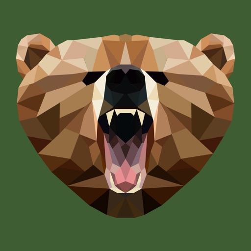 Grizzly VPN - Best Hotspot VPN Icon