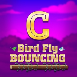 C Bird Fly Bouncing