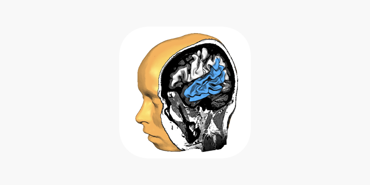 Brain Tutor 3D on the App Store