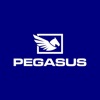 Pegasus Sistema
