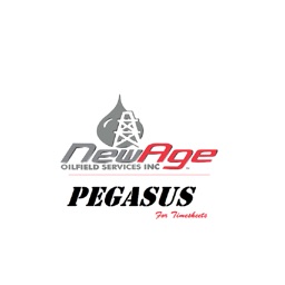 Pegasus Timesheets